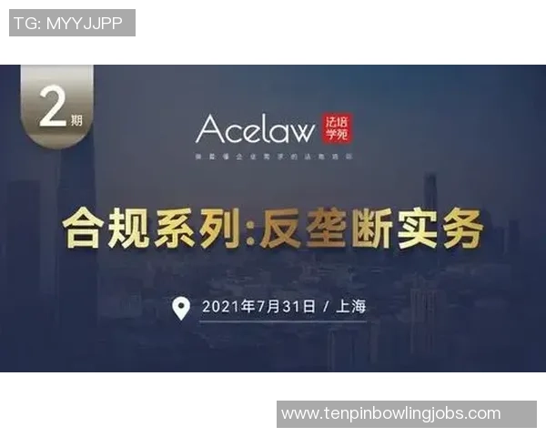 区域版权独家性与反垄断对消费者选择的影响与挑战分析